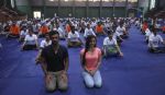 Elli Avram celebrating  International Yoga Day by Kaivalyadham